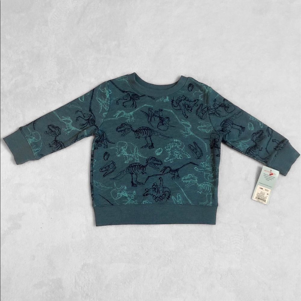 Cat & Jack Dinosaur Fleece Crew Sweatshirt